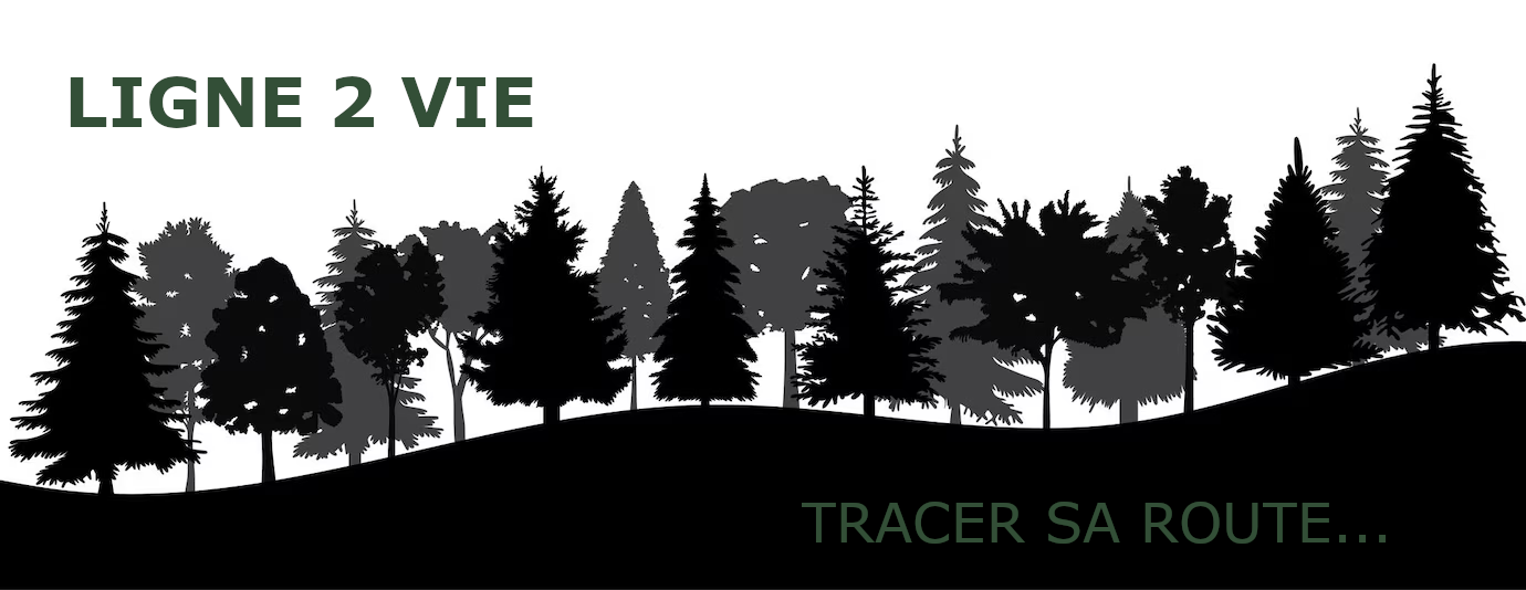 Ligne 2 vie... Tracer sa route...